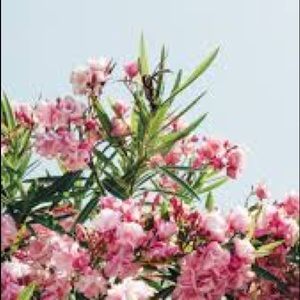 Meet your Posher, Katelynn